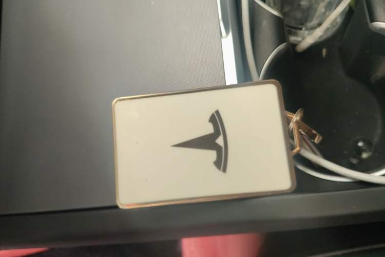 Used Tesla Model 3 2023 Long-Range All-Wheel-Drive Version
