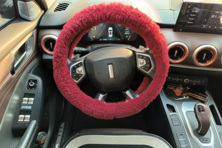 Used Wey VV6 2018 2.0T Two-Wheel-Drive Ultra-Luxury Version China V Standard
