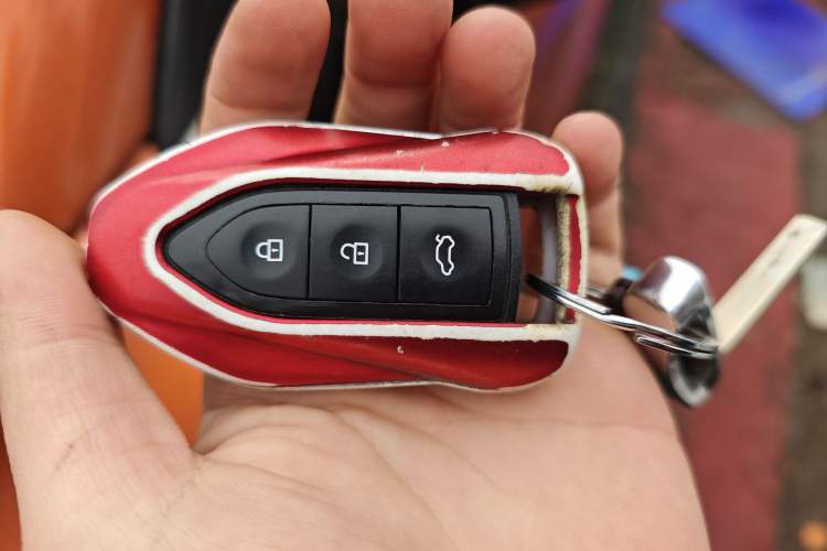 Used Leopaard CS9 2018 1.5T CVT Jingrui Model
