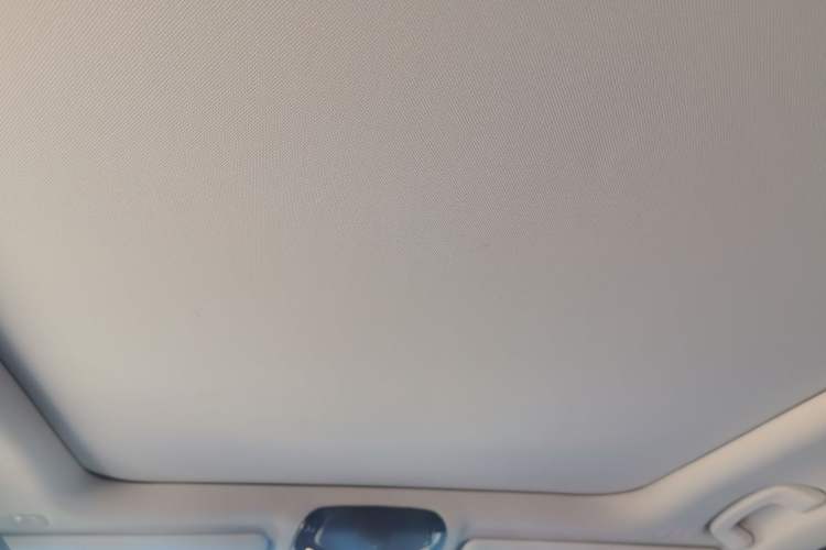 Used BMW 3 Series 2021 Second Facelift 320Li M Sport Package Headliner