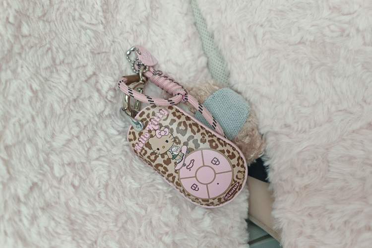 Used ORA Ballet Cat 2022 401 km Nutcracker Edition