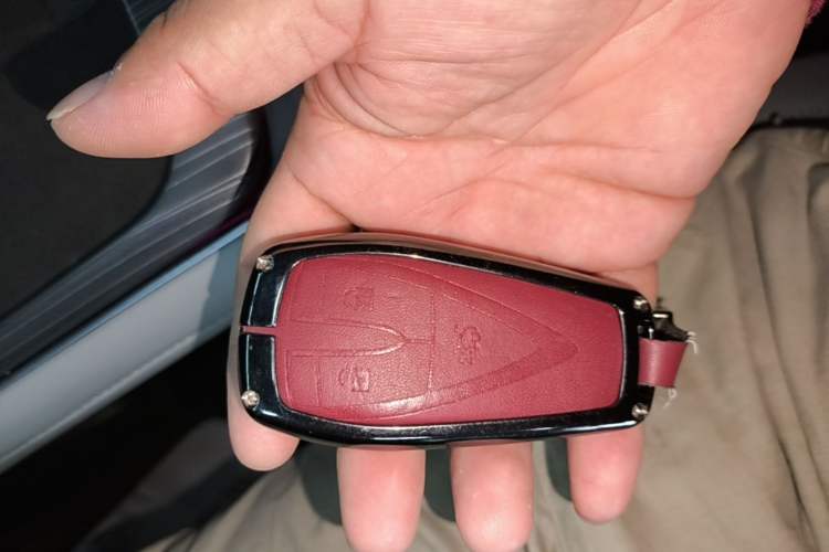 Used CHANGAN NEVO Q05 2025 Truly Delicious Version 125cc Beyond-Excellent Type
