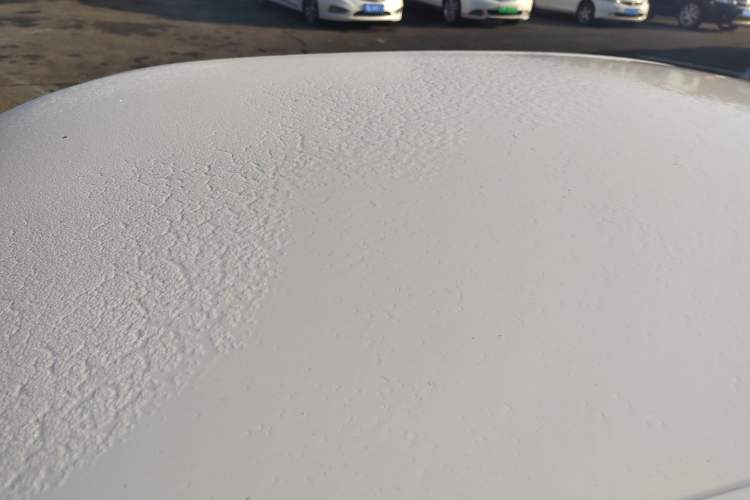 Used Volkswagen Lavida 2019 Lavida Start 1.5L Automatic Trendy Version China VI Standard