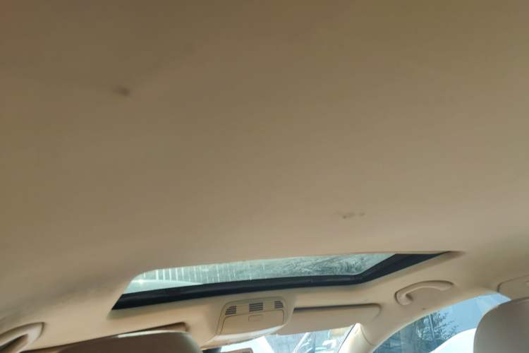 Used Volkswagen Magotan 2009 1.8 TSI DSG Comfort Edition Headliner