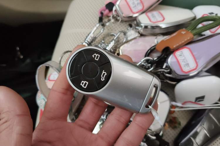 Used ORA Good Cat 2023 401 km Standard Range Premium Version Lithium Iron Phosphate Vehicle Key