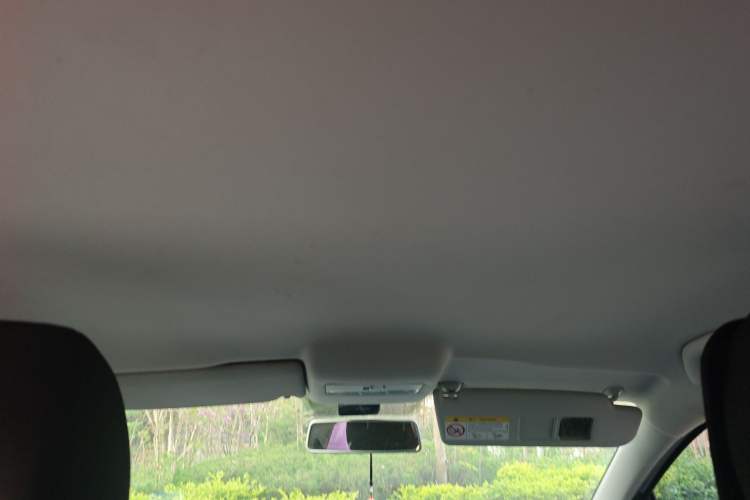 Used Volkswagen Polo 2018 1.5L Manual Drive-Comfort Model Headliner