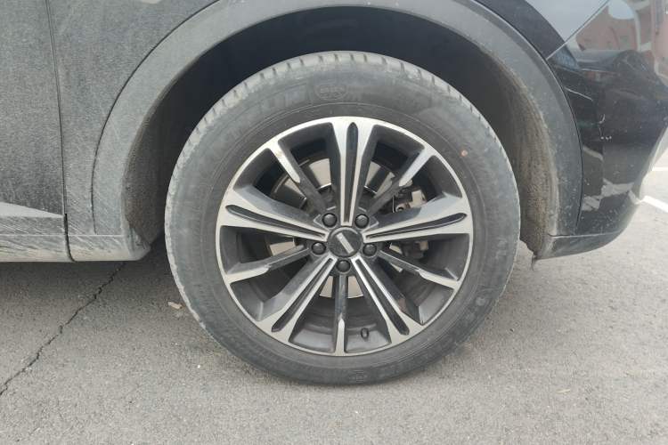 Used Wey VV6 2021 2.0T Two-Wheel Drive Smart Protection+
