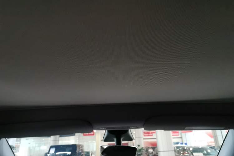 Used Tesla Model Y 2021 Standard Range Rear-Wheel Drive Version Headliner