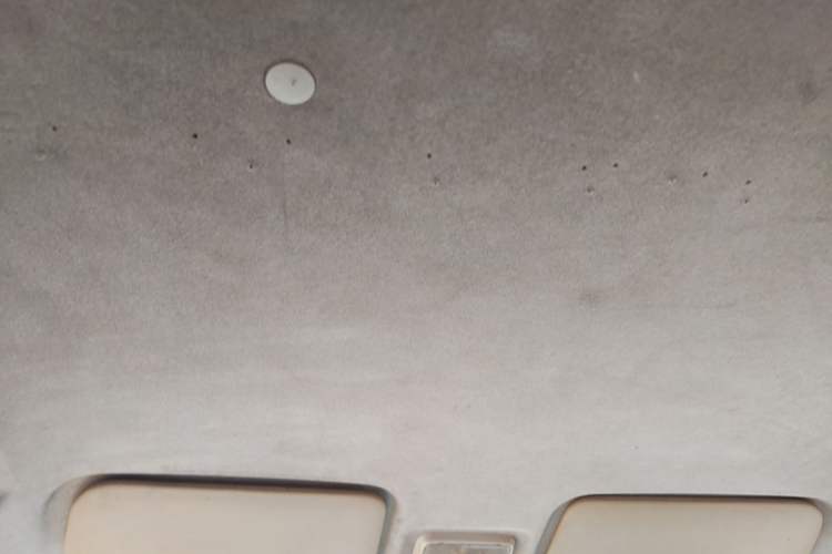 Used Dongfeng Fengon 330 2016 1.2L Manual Base Version DK12-07 Headliner