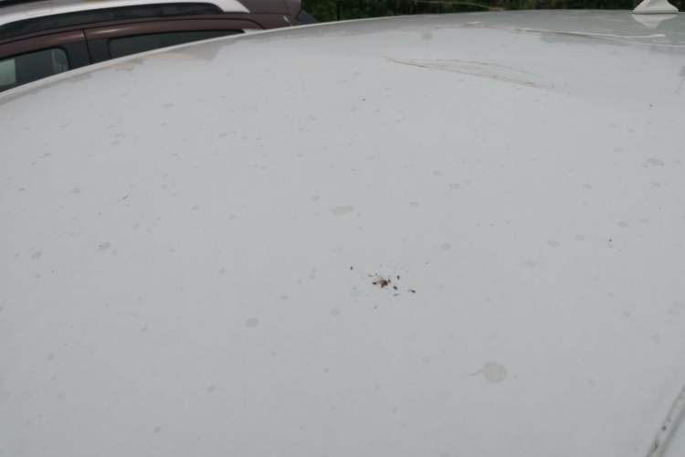 Used Zotye T300 2017 1.5L Manual Luxury Model Roof