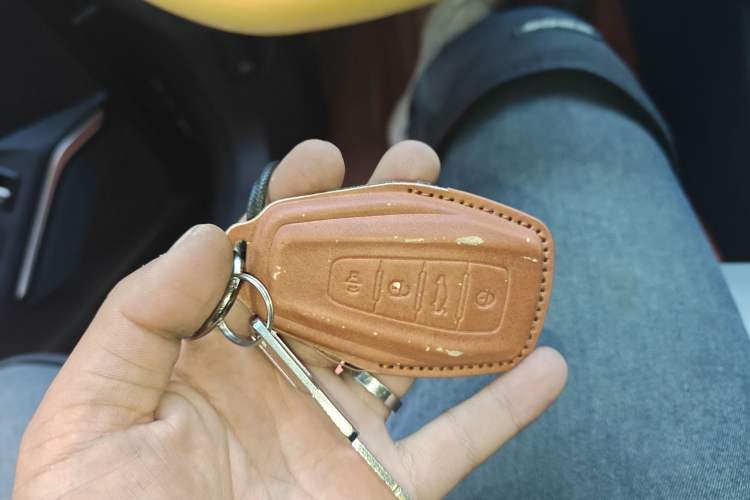 Used Geely Auto Monjaro L 2021 2.0TD DCT EVO Two-Wheel Drive Prestige Version