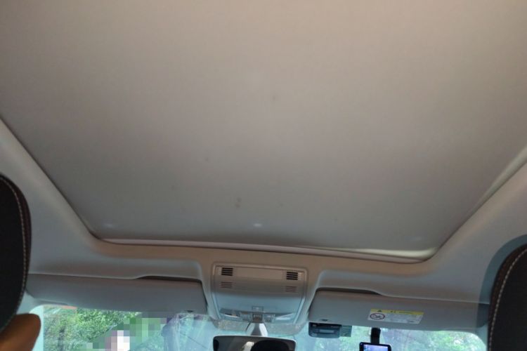 Used Volkswagen Tayron 2020 330TSI Two-Wheel Drive Luxury Smart Connectivity Version Headliner