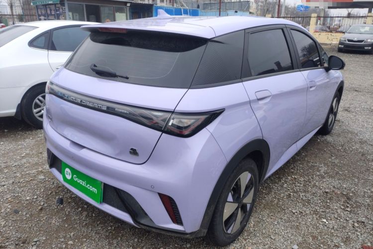 Used BYD Dolphin 2023 420 km Free Version
