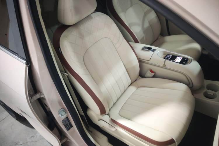 Used ORA Good Cat 2024 401 km Luxury Version