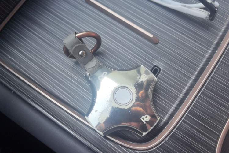 Used Dongfeng eπ eπ008 2024 636Max All-Electric Version 6 Seats Interior 1