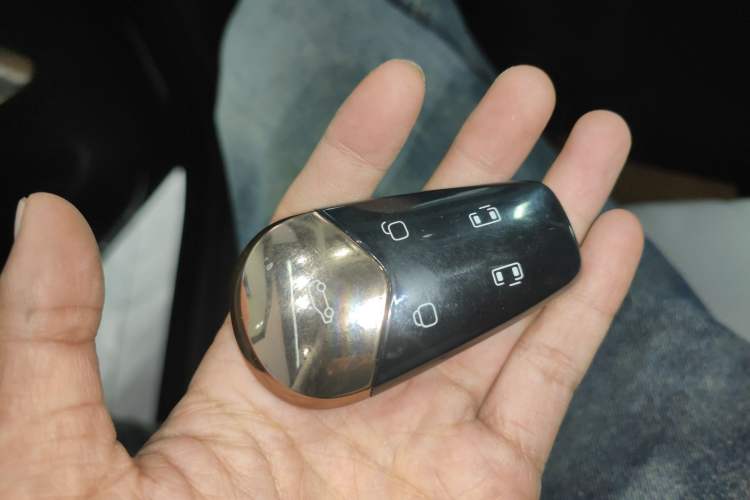 Used VOYAH Dream 2025 PHEV Four-Wheel-Drive Flagship Kunpeng Edition
