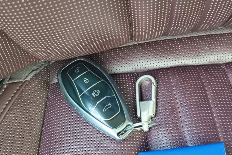 Used Hongqi HQ9 2023 2.0T Smart Connect Flagship Edition Vehicle Key