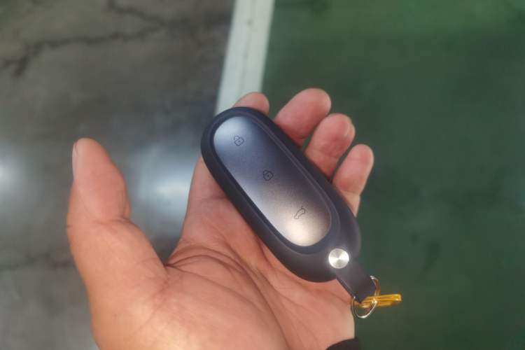 Used Li Auto L6 2024 Max