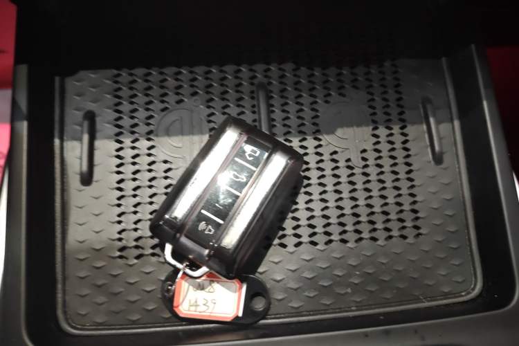 Used Tank 400 2025 2.0T Gasoline Version