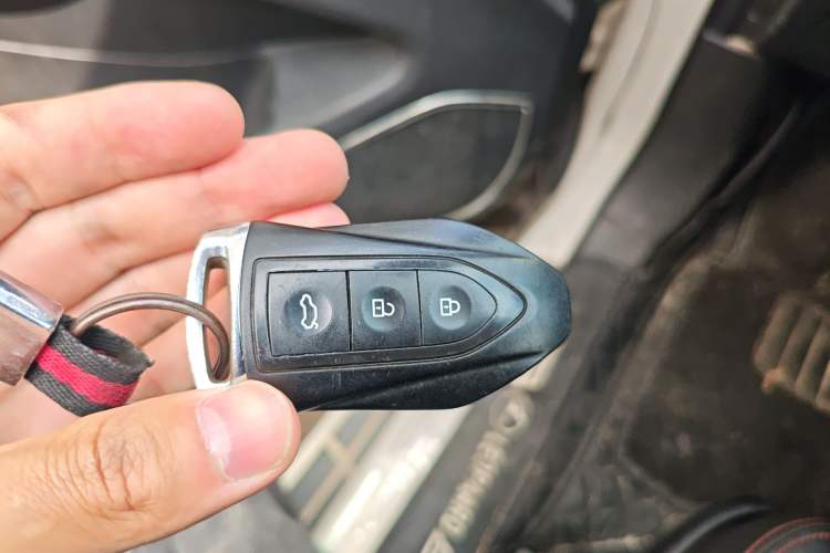 Used Leopaard CS10 2017 1.5T Manual Prestige Model
