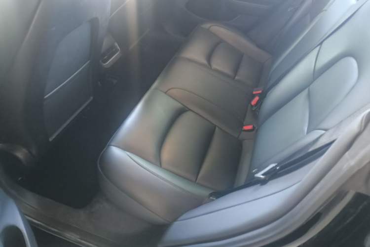 Used Tesla Model 3 2022 Rear-Wheel-Drive Version