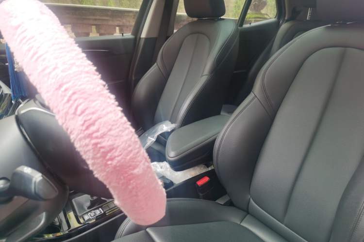 Used BMW X2 2019 sDrive20i M Sport Package China VI Emission Standard
