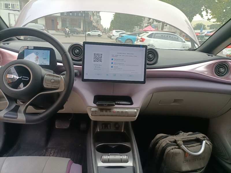 Used BYD Dolphin 2023 420 km Free Version — 12