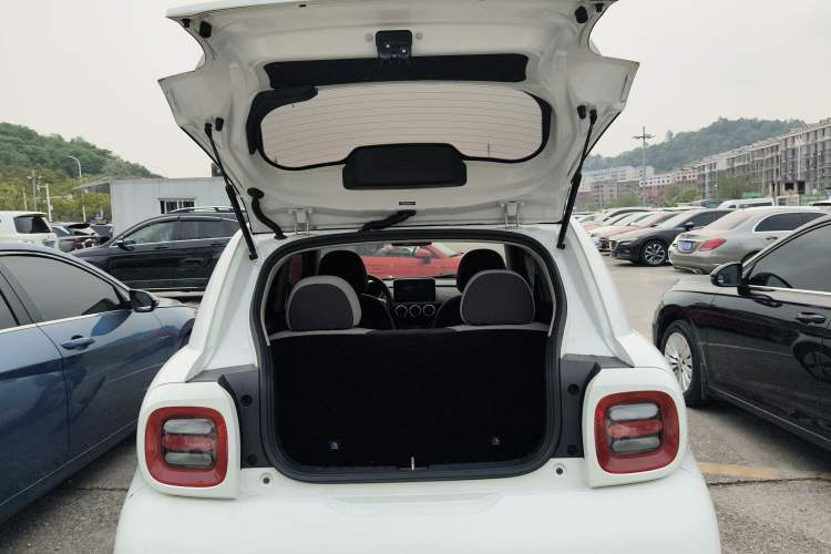 Used ORA Black Cat 2021 301km Cute Pet Edition Trunk