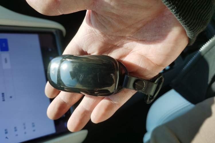 Used Tesla Model X 2019 Long-Range Version
