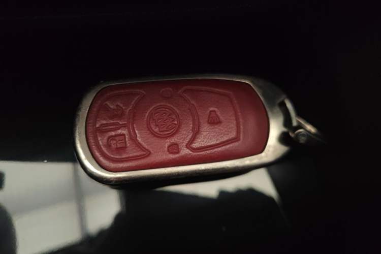 Used Buick Regal 2019 20T Elite Version China VI Standard