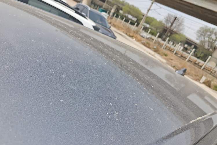 Used BYD Yuan UP 2024 401KM Leading Edition Roof