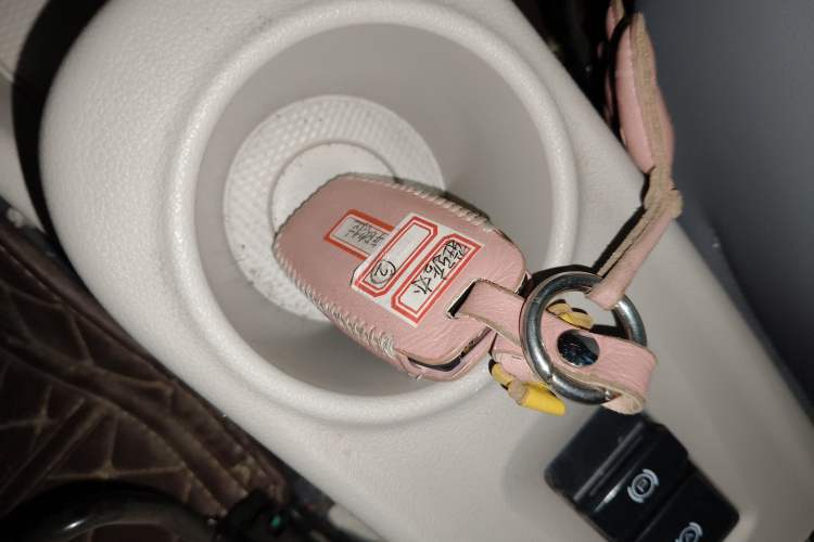 Used ORA White Cat 2020 401 km Flagship Version
