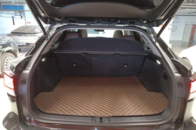 Used Lexus RX 2021 300 Four-Wheel Drive Special Edition
