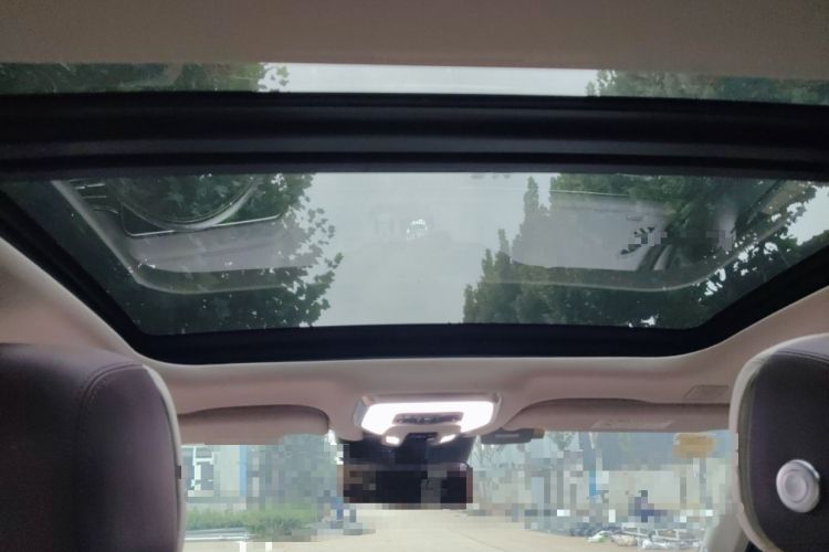 Used Hongqi H9 2020 2.0T Smart Connect Flagship Edition
