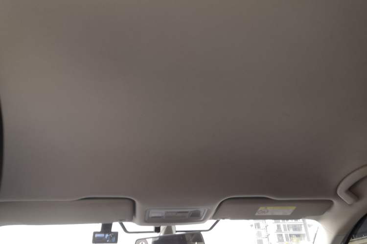 Used Volkswagen Bora Pure Electric 2020 Shan Model Headliner