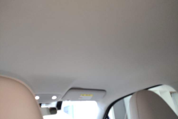 Used Leapmotor T03 2023 200 Lite Edition Headliner