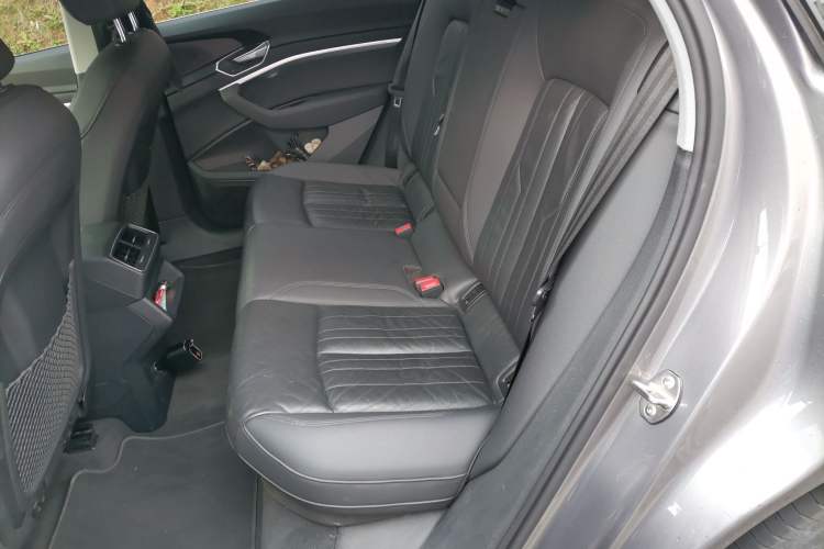Used Audi e-tron 2019 55 quattro Technology Edition Left Rear Seat