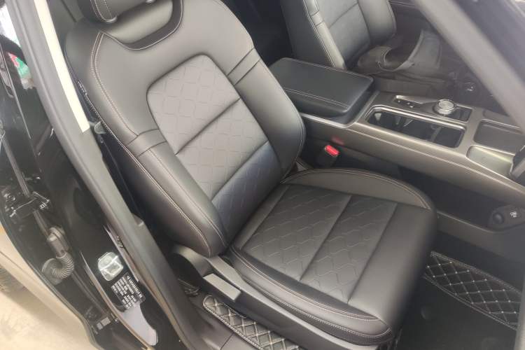 Used Haval DARGO 2024 2.0T DCT Chinese Rural Dog Edition
