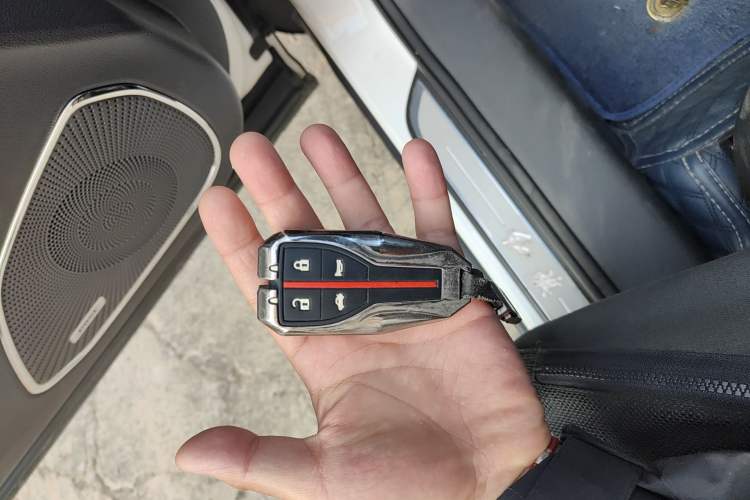 Used Hongqi HS5 2019 2.0T Smart Connect Flagship Edition