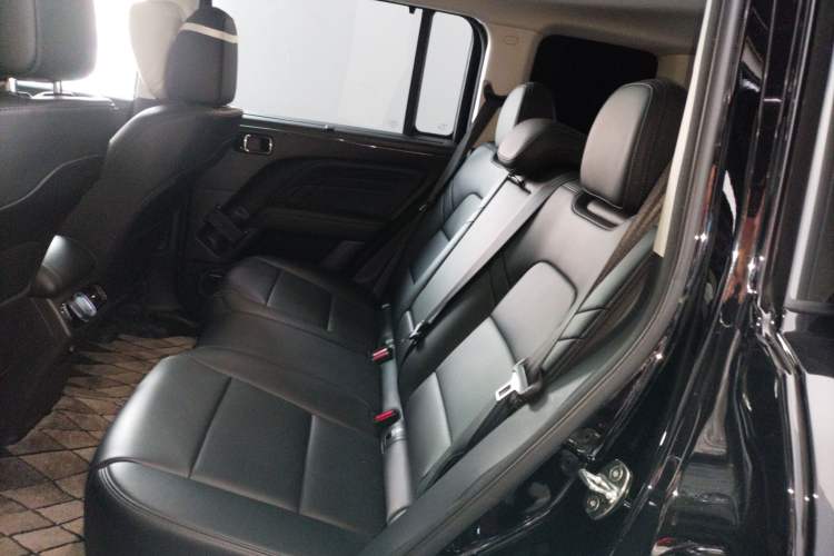 Used Haval Raptor New Energy 2024 Hi4 145 Pro Left Rear Seat