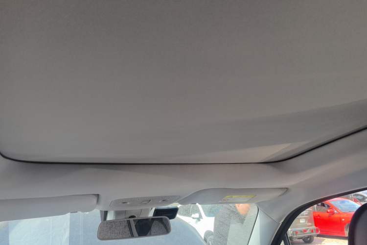 Used Leapmotor T03 2021 400 Luxury Edition Headliner