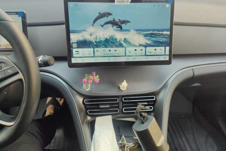 Used BYD Sealion 05 DM-i 2025 DM-i Smart Drive 75KM Luxury Model
