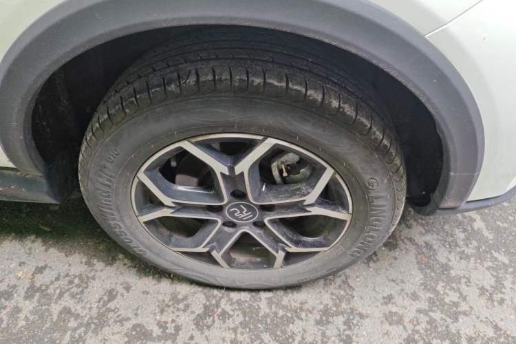 Used BYD Yuan Pro 2021 "Love for a Lifetime" Edition
