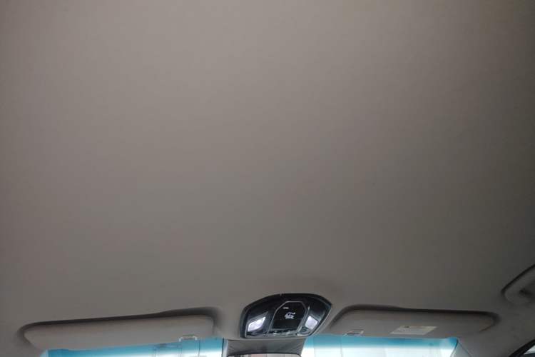 Used FORTHING Xinghai V9 2024 1.5TD 200km Chinese Knot Series Luxury Version
