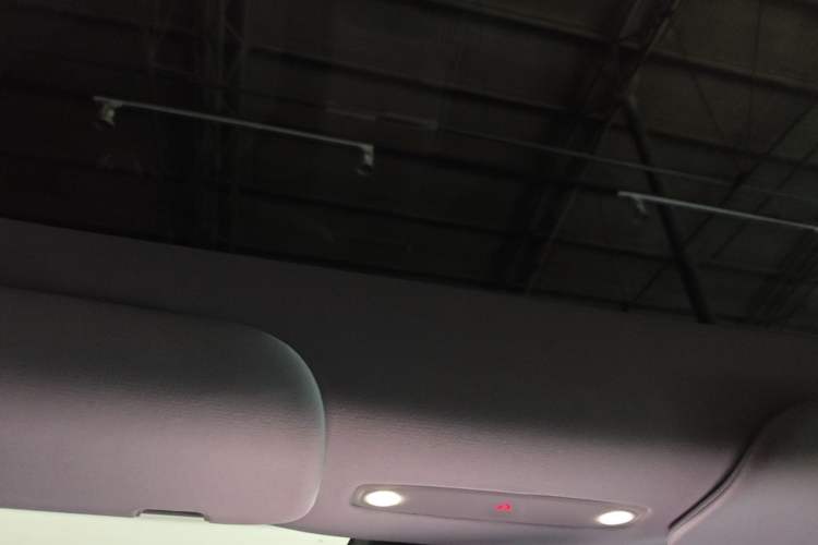 Used Tesla Model Y 2025 Rear-Wheel Drive First Edition Headliner