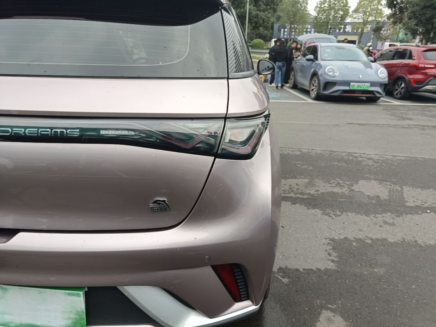 BYD Dolphin 2021 405 km Fashion Edition — снимка 9