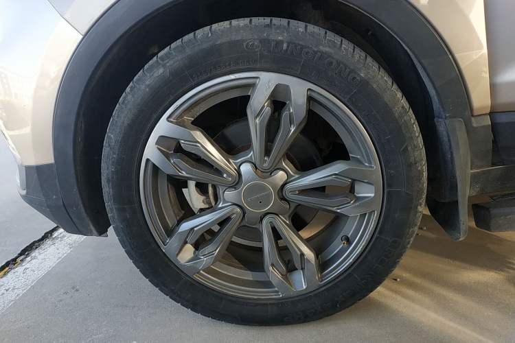 Used Leopaard CS9 2018 1.5T CVT Jingrui Model
