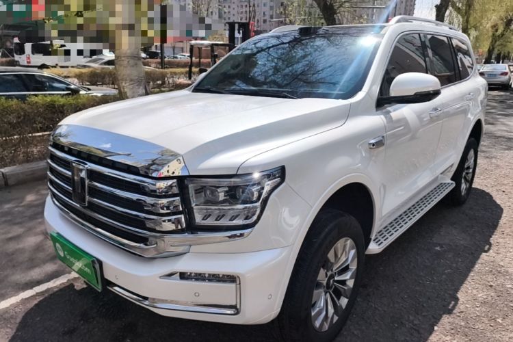 Used Tank 500 New Energy 2026 Model—Hi4-Z Smart Enjoyment Version