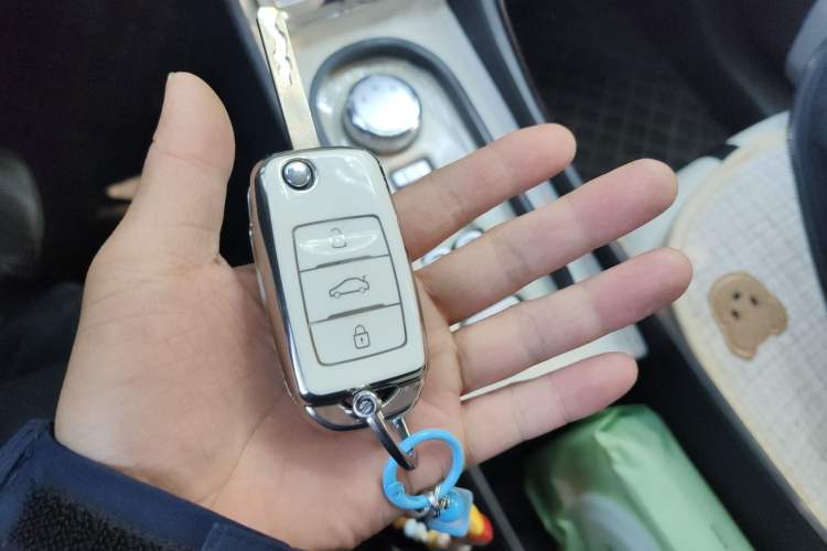 Used Qiyuan Lumin 2022 210km Sweet Edition