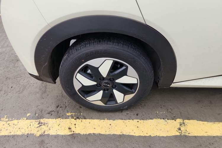 Used BYD Dolphin 2025 420km Free Edition